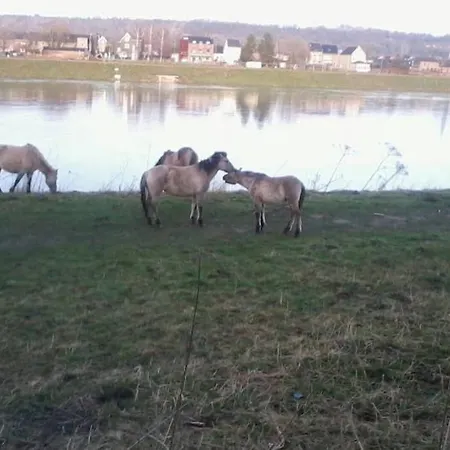 Apartmán Authentic - 6p-apartment Eijsden