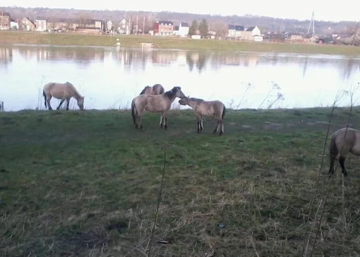 شقة Authentic - 6p-apartment إيجسدين